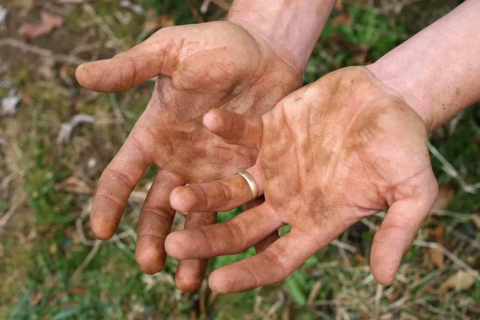 Parazol : përbërja vetëm përbërës natyralë.